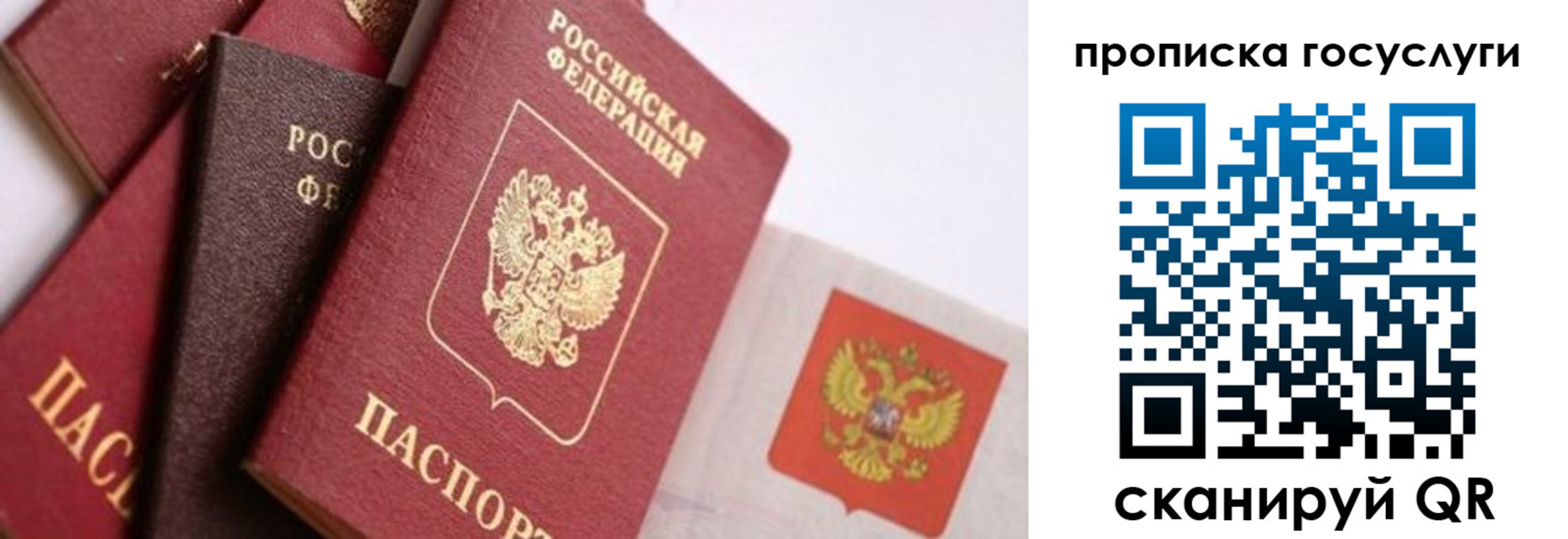 прописка законно в Морозовске